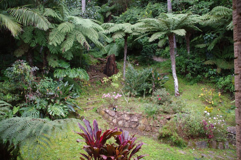 Marcel Towers Holiday Apartments Nambucca Heads Zewnętrze zdjęcie
